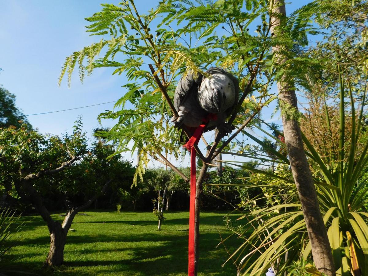 فوميفريدو دي سيشيليا Villa Delle Vacanze المظهر الخارجي الصورة